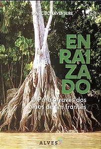 Capa de Enraizado